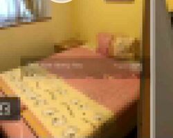 Sims Meadows (D14), Apartment #523684361